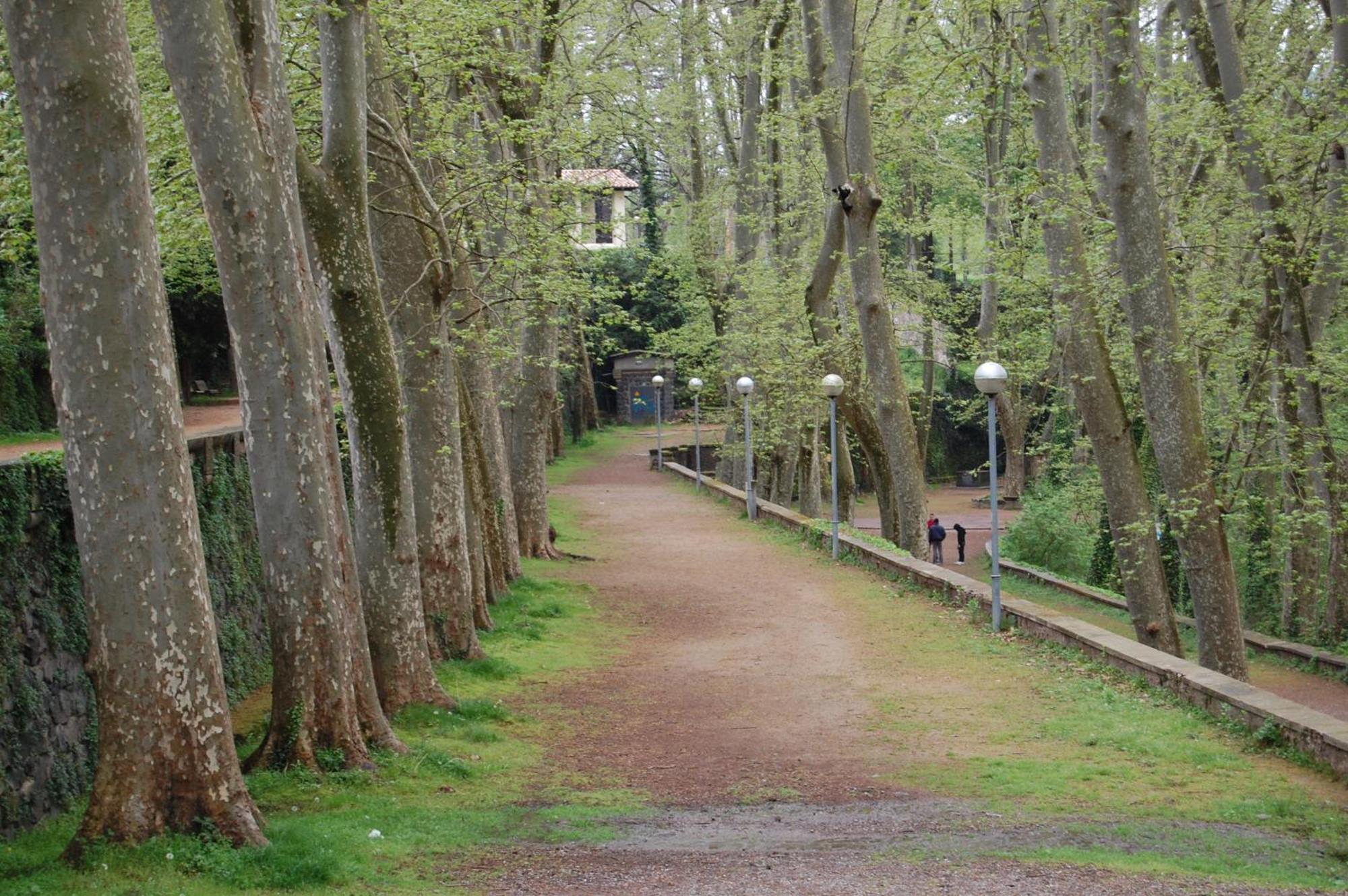 El Solell De L'Avia Villa Olot Luaran gambar